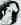 chino_d19.jpg (105579 bytes)