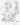 chino_d77.jpg (28316 bytes)