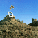 formasses.gif (26593 bytes)