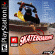 mtvskate.jpg (63889 bytes)