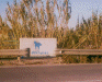 graffiti01.jpg (32114 bytes)