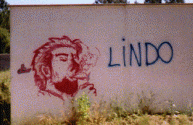 lindo.jpg (46650 bytes)
