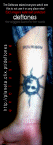chi_right.jpg (96202 bytes)