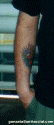 frank_tat.jpg (11685 bytes)