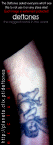 stef_right.jpg (72279 bytes)