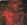 abe_inredlive.jpg (51281 bytes)