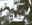 all_justpracticing.jpg (55757 bytes)