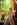 chi_green.jpg (28397 bytes)