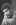 chino_argh.jpg (4241 bytes)