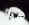 chino_shirtless2.jpg (42929 bytes)
