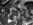 chinointhepit.jpg (56549 bytes)