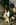 deftones5.jpg (43827 bytes)