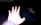 chino15.jpg (23317 bytes)
